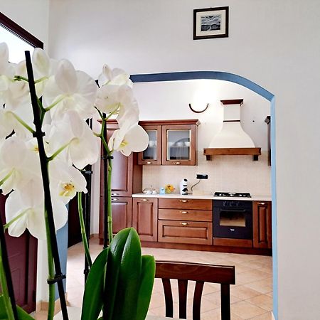 Anninnia Guest House B&B - Ghiiarza Ghilarza Ngoại thất bức ảnh