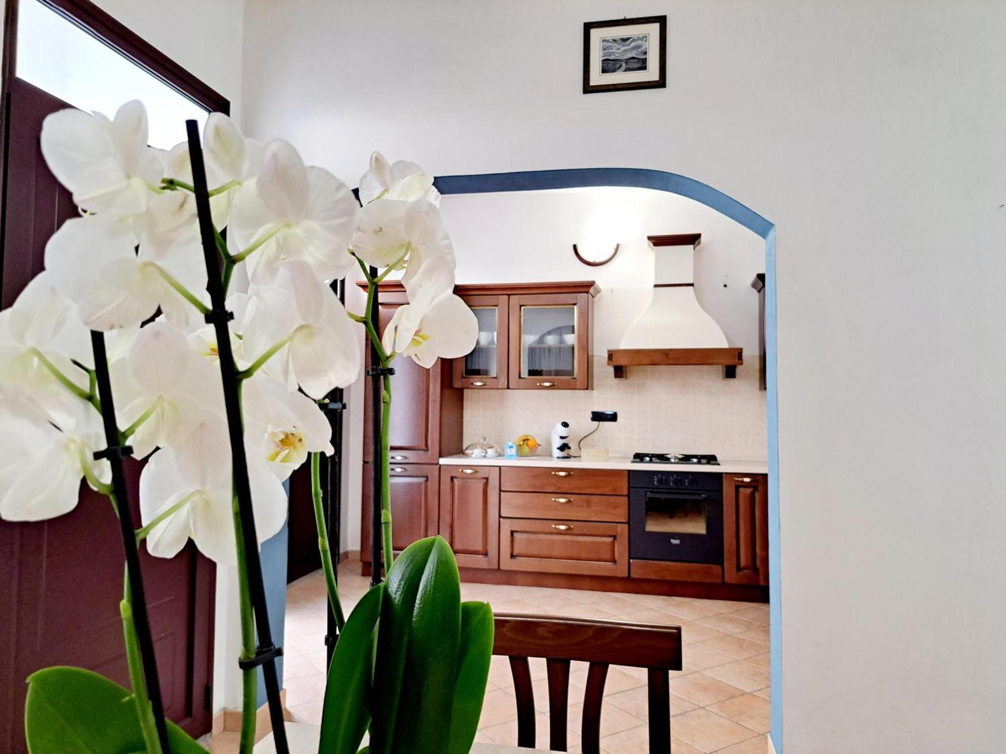 Anninnia Guest House B&B - Ghiiarza Ghilarza Ngoại thất bức ảnh